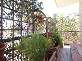 Appartamento vicolo Francesco Crispi 3, Centro, San Benedetto del Tronto — foto 21 di 26