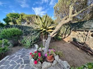 Villa bifamiliare via Tramontana, Centro, Santa Teresa Gallura — foto 25 di 38