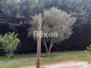 Terratetto unifamiliare via Belvedere, Fiscaglia — foto 5 di 17