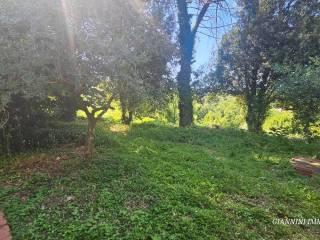 Villa unifamiliare via del Fortino, Centro, Montecarlo — foto 50 di 61