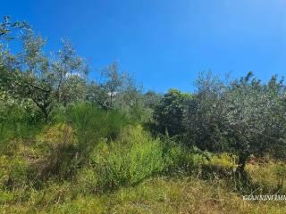 Villa unifamiliare via del Fortino, Centro, Montecarlo — foto 4 di 61