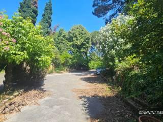 Villa unifamiliare via del Fortino, Centro, Montecarlo — foto 53 di 61