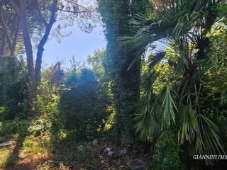 Villa unifamiliare via del Fortino, Centro, Montecarlo — foto 42 di 61