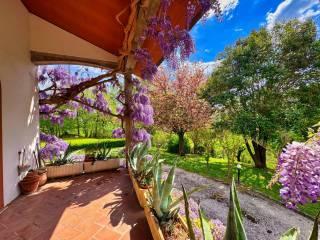 Villa unifamiliare via Fosso di Otto 2, Centro, Comunanza — foto 23 di 48