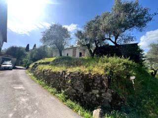 Cascina, da ristrutturare, 300 m², Mutigliano - Torre, Lucca