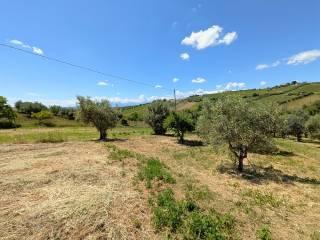 Terratetto plurifamiliare Contrada San Biagio, Controguerra — foto 7 di 18