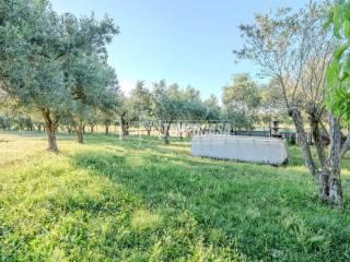 Terratetto unifamiliare Strada Ponte del Diavolo, Castel d'Asso - Tuscanese, Viterbo — foto 17 di 25
