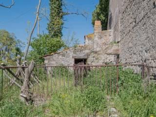 Casale Strada Pian di Tortora, Castel d'Asso - Tuscanese, Viterbo — foto 10 di 19