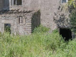 Casale Strada Pian di Tortora, Castel d'Asso - Tuscanese, Viterbo — foto 8 di 19