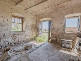 Casale Strada Pian di Tortora, Castel d'Asso - Tuscanese, Viterbo — foto 7 di 19
