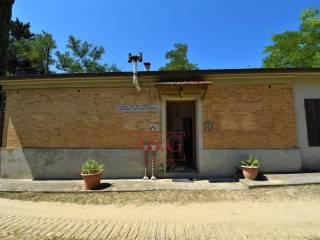 Terratetto unifamiliare co ntrada magnola, Ripatransone — foto 15 di 49