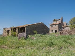 Casale Strada Pian di Tortora, Castel d'Asso - Tuscanese, Viterbo — foto 12 di 19