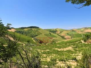 Terratetto unifamiliare co ntrada magnola, Ripatransone — foto 5 di 49