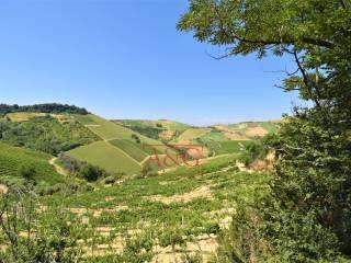 Terratetto unifamiliare co ntrada magnola, Ripatransone — foto 32 di 49