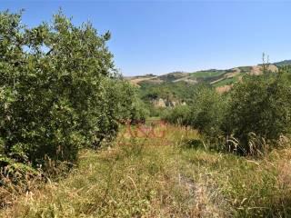 Terratetto unifamiliare co ntrada magnola, Ripatransone — foto 47 di 49