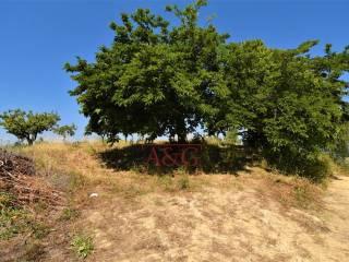 Terratetto unifamiliare co ntrada magnola, Ripatransone — foto 34 di 49