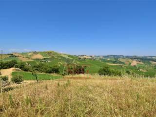 Terratetto unifamiliare co ntrada magnola, Ripatransone — foto 24 di 49