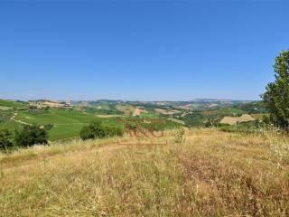 Terratetto unifamiliare co ntrada magnola, Ripatransone — foto 17 di 49
