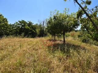 Terratetto unifamiliare co ntrada magnola, Ripatransone — foto 8 di 49