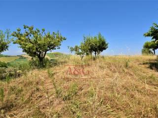 Terratetto unifamiliare co ntrada magnola, Ripatransone — foto 40 di 49