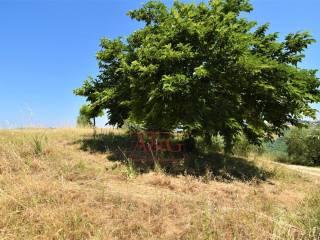 Terratetto unifamiliare co ntrada magnola, Ripatransone — foto 10 di 49