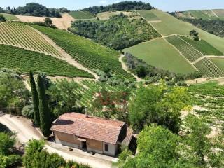 Terratetto unifamiliare co ntrada magnola, Ripatransone — foto 37 di 49