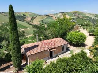Terratetto unifamiliare co ntrada magnola, Ripatransone — foto 6 di 49
