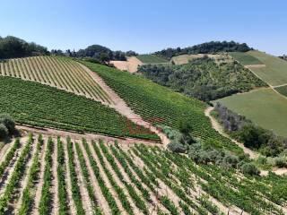 Terratetto unifamiliare co ntrada magnola, Ripatransone — foto 11 di 49