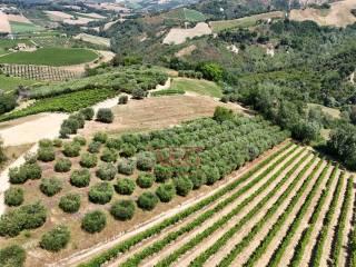 Terratetto unifamiliare co ntrada magnola, Ripatransone — foto 23 di 49