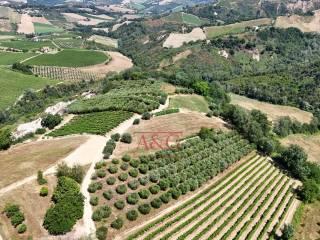 Terratetto unifamiliare co ntrada magnola, Ripatransone — foto 30 di 49