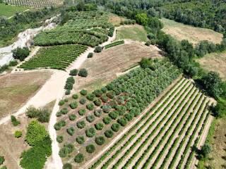Terratetto unifamiliare co ntrada magnola, Ripatransone — foto 42 di 49