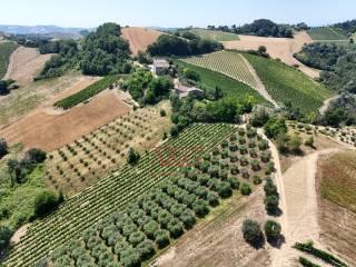 Terratetto unifamiliare co ntrada magnola, Ripatransone — foto 35 di 49