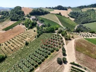 Terratetto unifamiliare co ntrada magnola, Ripatransone — foto 12 di 49