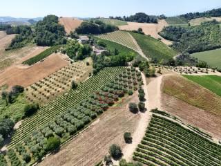 Terratetto unifamiliare co ntrada magnola, Ripatransone — foto 20 di 49