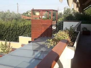Villa unifamiliare Urb. Ronchi Quercioli - Rinchiostra, Rinchiostra - Quercioli, Massa — foto 13 di 40