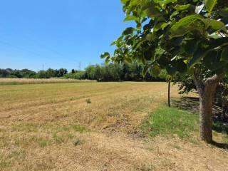 Villa unifamiliare Località Casettone, Graffignano — foto 2 di 18