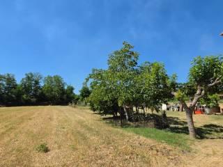 Villa unifamiliare Località Casettone, Graffignano — foto 6 di 18