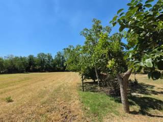 Villa unifamiliare Località Casettone, Graffignano — foto 8 di 18