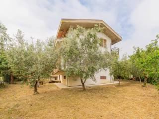 Villa bifamiliare via 24 Maggio 9, Castellalto — foto 16 di 18