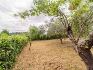 Villa bifamiliare via 24 Maggio 9, Castellalto — foto 12 di 18