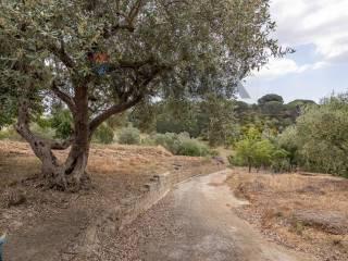 Terratetto unifamiliare Contrada Fegotello Snc, Piazza Armerina — foto 3 di 34