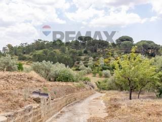 Terratetto unifamiliare Contrada Fegotello Snc, Piazza Armerina — foto 30 di 34