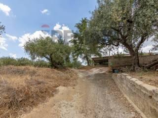 Terratetto unifamiliare Contrada Fegotello Snc, Piazza Armerina — foto 31 di 34