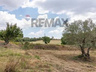 Terratetto unifamiliare Contrada Fegotello Snc, Piazza Armerina — foto 15 di 34