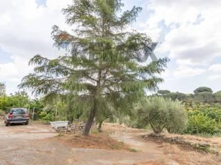 Terratetto unifamiliare Contrada Fegotello Snc, Piazza Armerina — foto 7 di 34