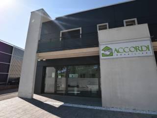 Villa unifamiliare via degli Scavi, Centro, Montegrotto Terme — foto 8 di 16