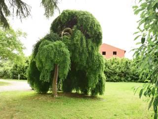 Villa bifamiliare Strada Quercioli, Vigatto, Parma — foto 23 di 27