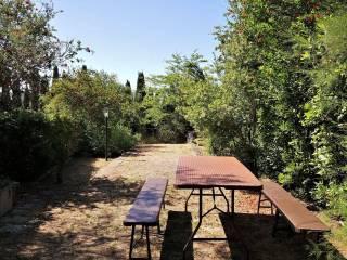 Trilocale Strada del Giardino 36, Capalbio — foto 9 di 17