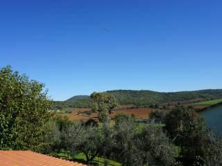 Trilocale Strada del Giardino 36, Capalbio — foto 7 di 17