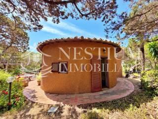 Villa unifamiliare Località Vigna Secca, Isola del Giglio — foto 9 di 23